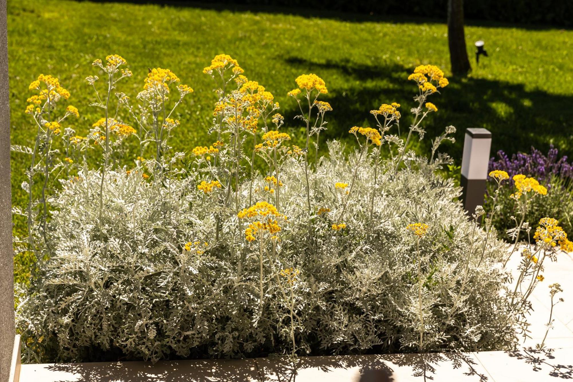 Villa Matko - Family Destination Zmijavci Eksteriør bilde
